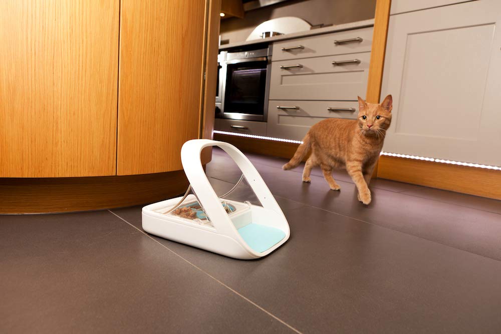 Microchip Automatic Pet Feeder for Wet and Dry Food F755