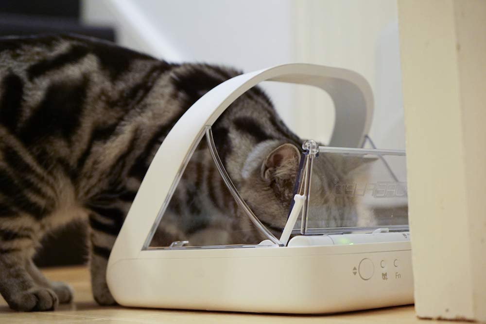 Microchip Automatic Pet Feeder for Wet and Dry Food F755