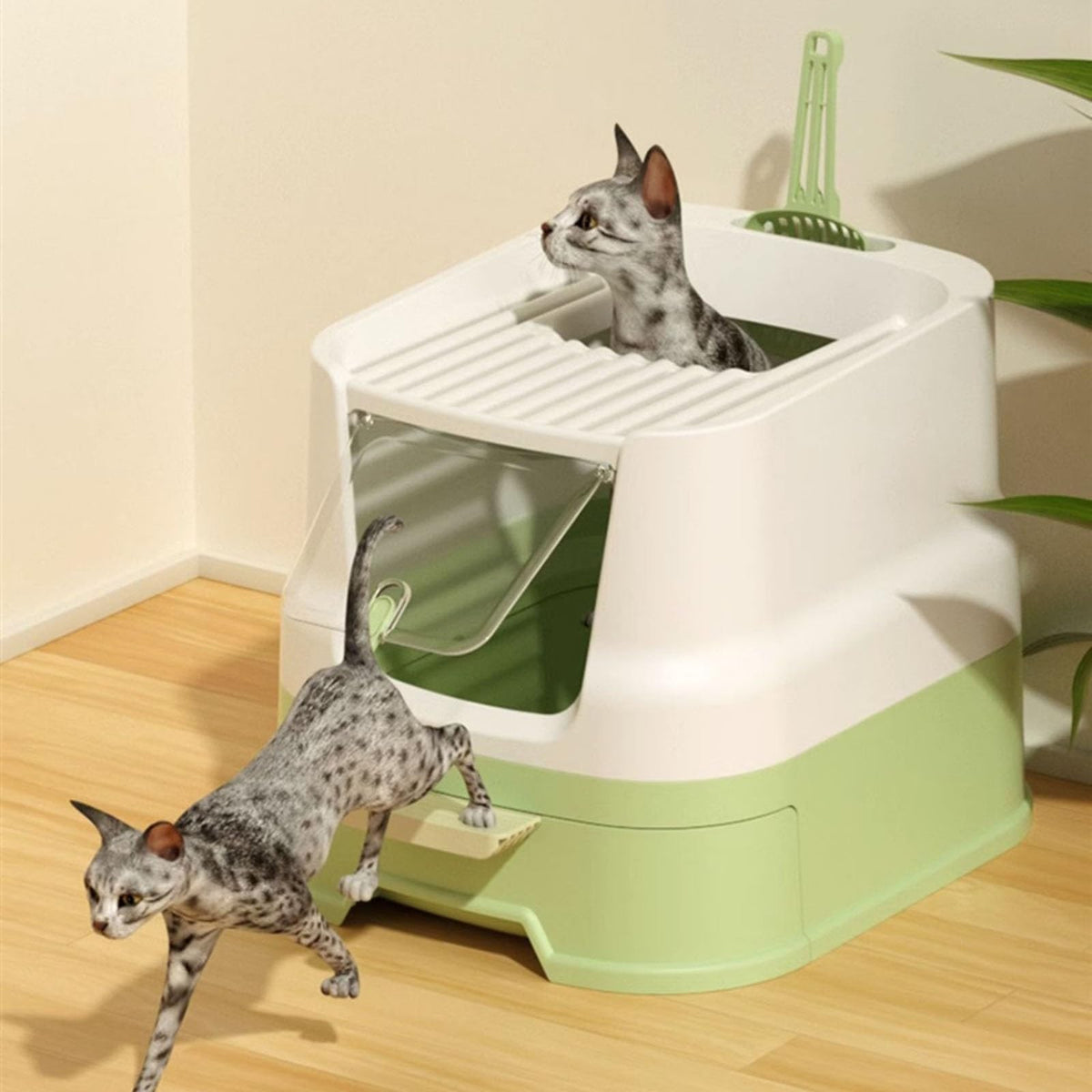 Large Top Entry Enclosed Cat Litter Box with Lid and Scoop V59586