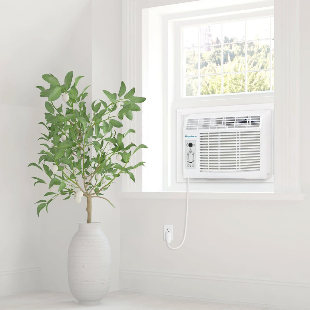8,000 BTU Window Air Conditioner D37054