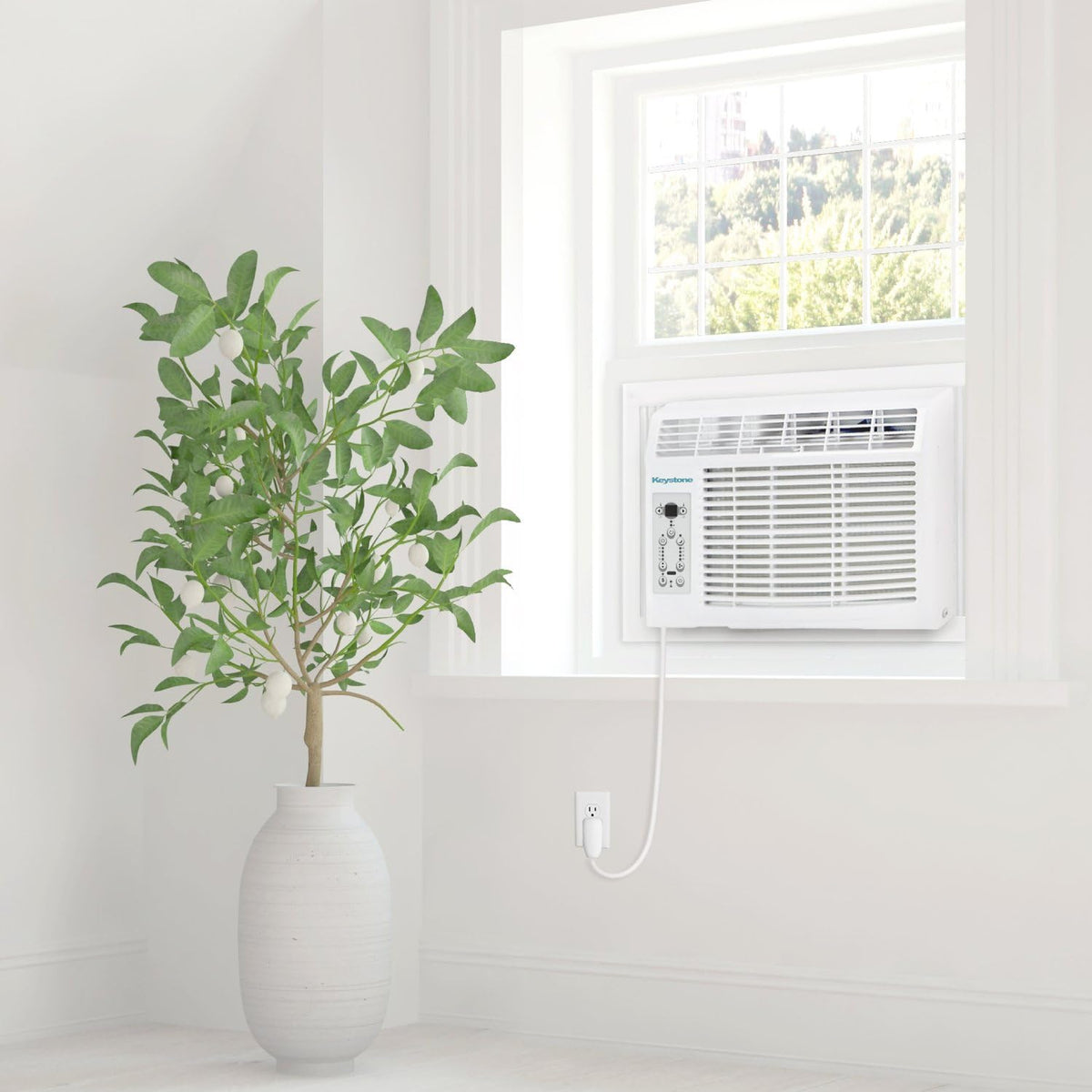 8,000 BTU Window Air Conditioner D37054
