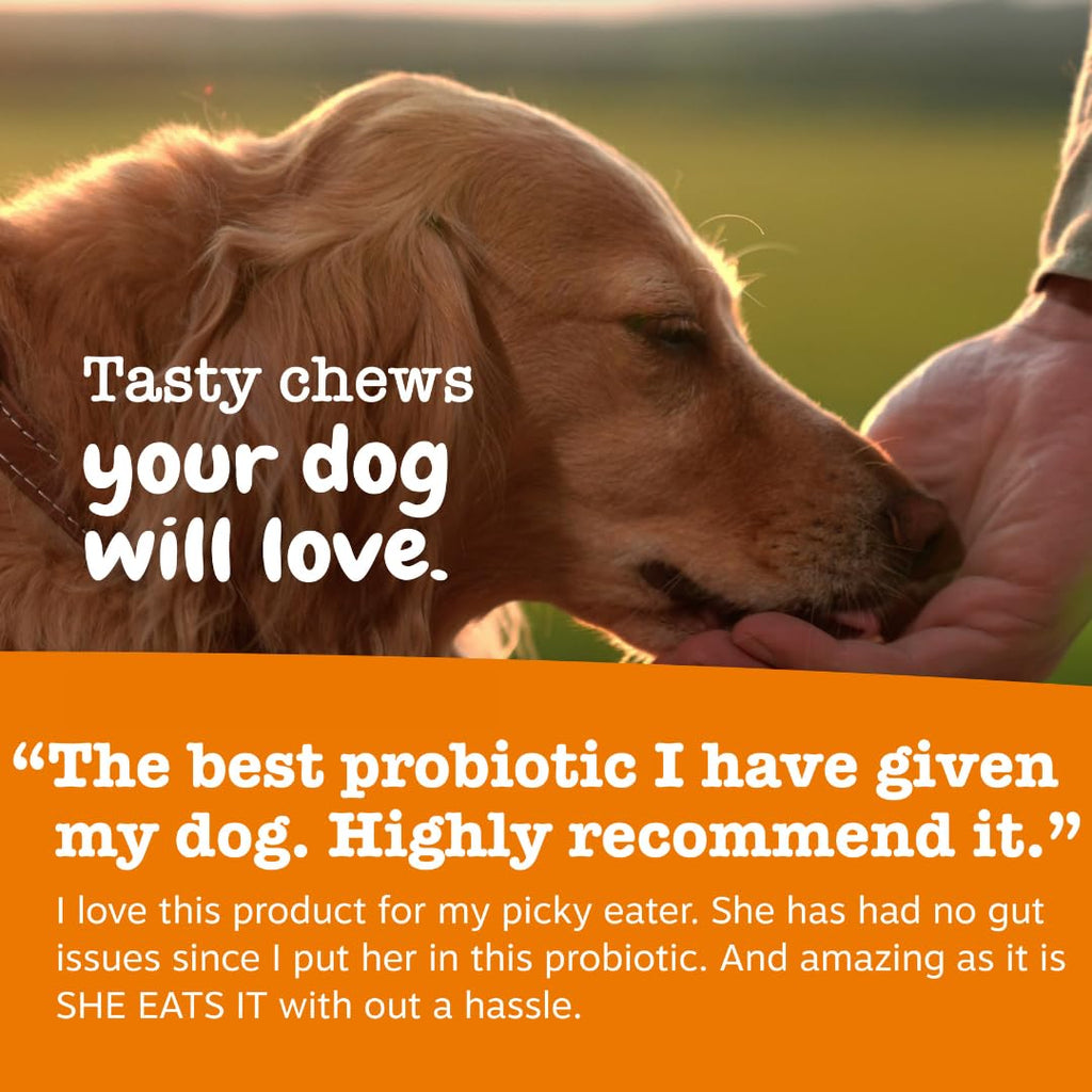Probiotics for Dogs Chicken 90ct K642109