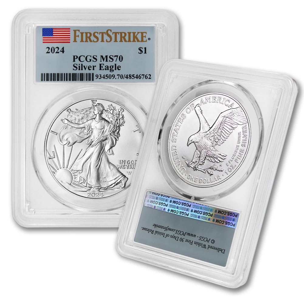 1 oz American Silver Eagle Coin MS-70 W252003