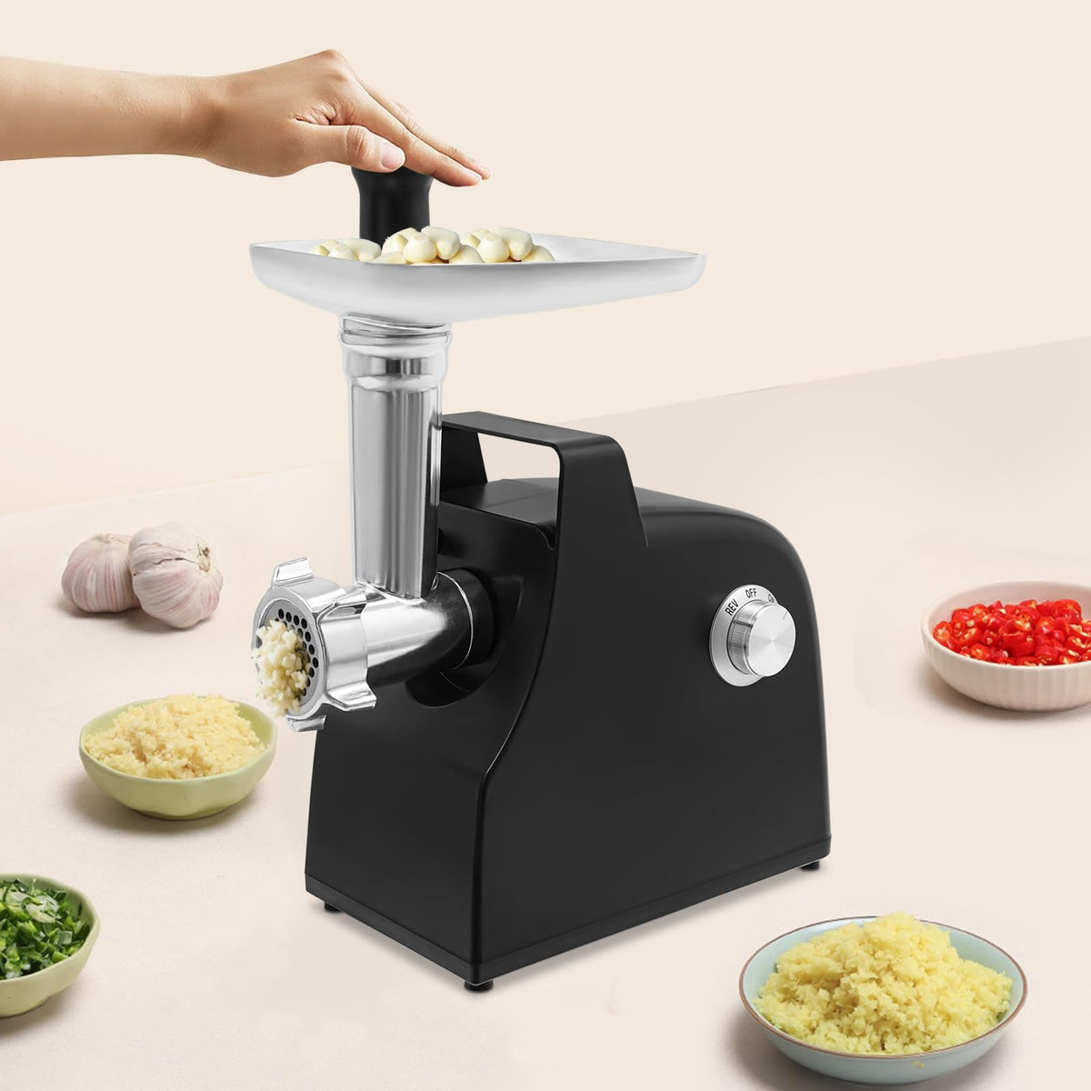 110V 500W Meat Grinder & Tomato Strainer T2961