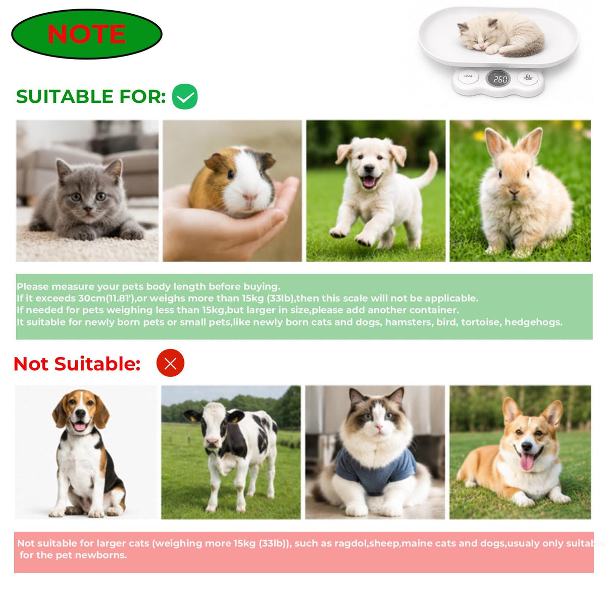 Digital Pet Scale C464339