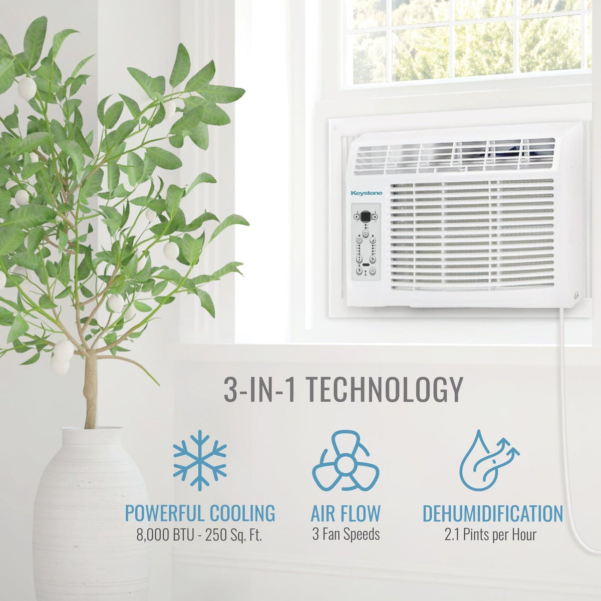 8,000 BTU Window Air Conditioner D37054