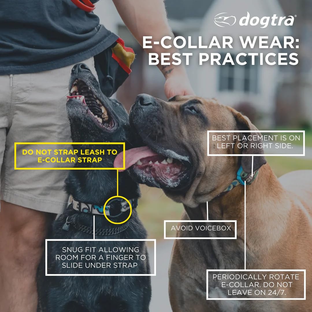 Waterproof Dog Training Collar with Remote L269