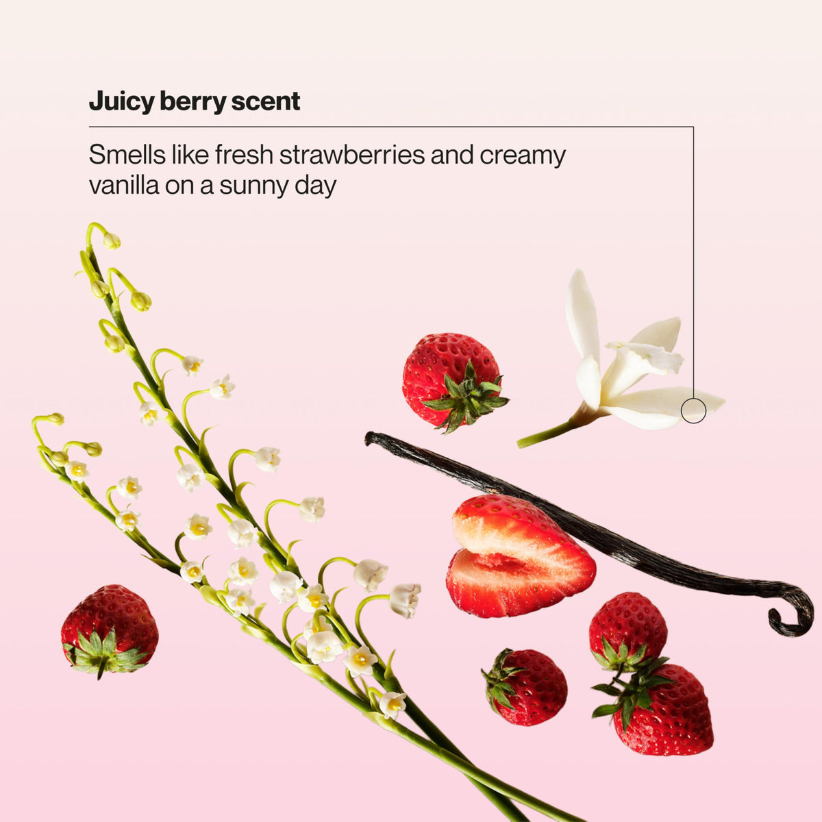 Berry Awesome Detangler Spray 10 oz Pack of 6 H478