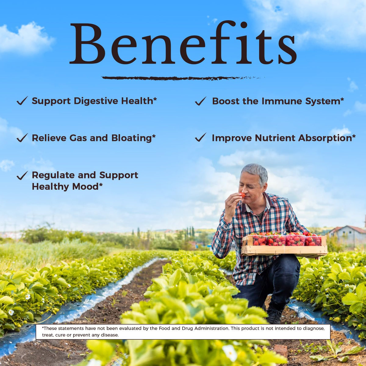 Probiotics 120 Billion CFUs 36 Strains with Prebiotics & Digestive Enzymes 30 Veg Caps D3812