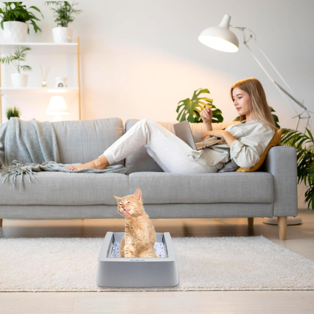 Stainless Steel Reusable Litter Tray N19958