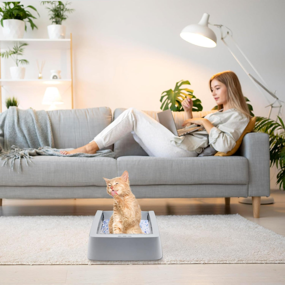 Stainless Steel Reusable Litter Tray N19958