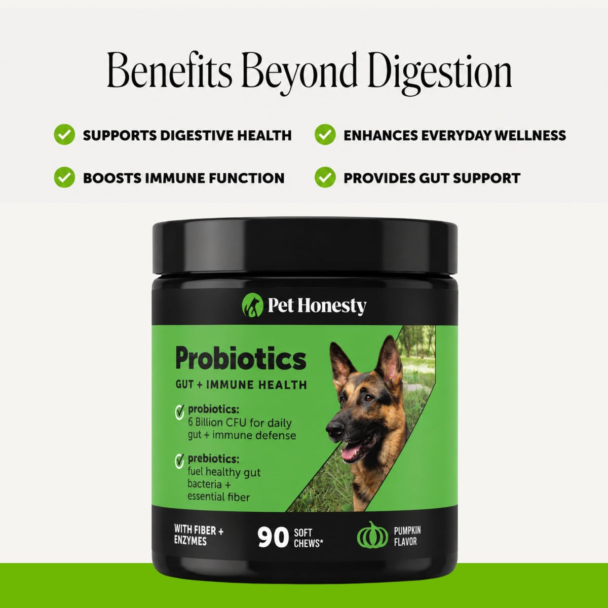 Dog Probiotics Chews 90ct Pumpkin M2134