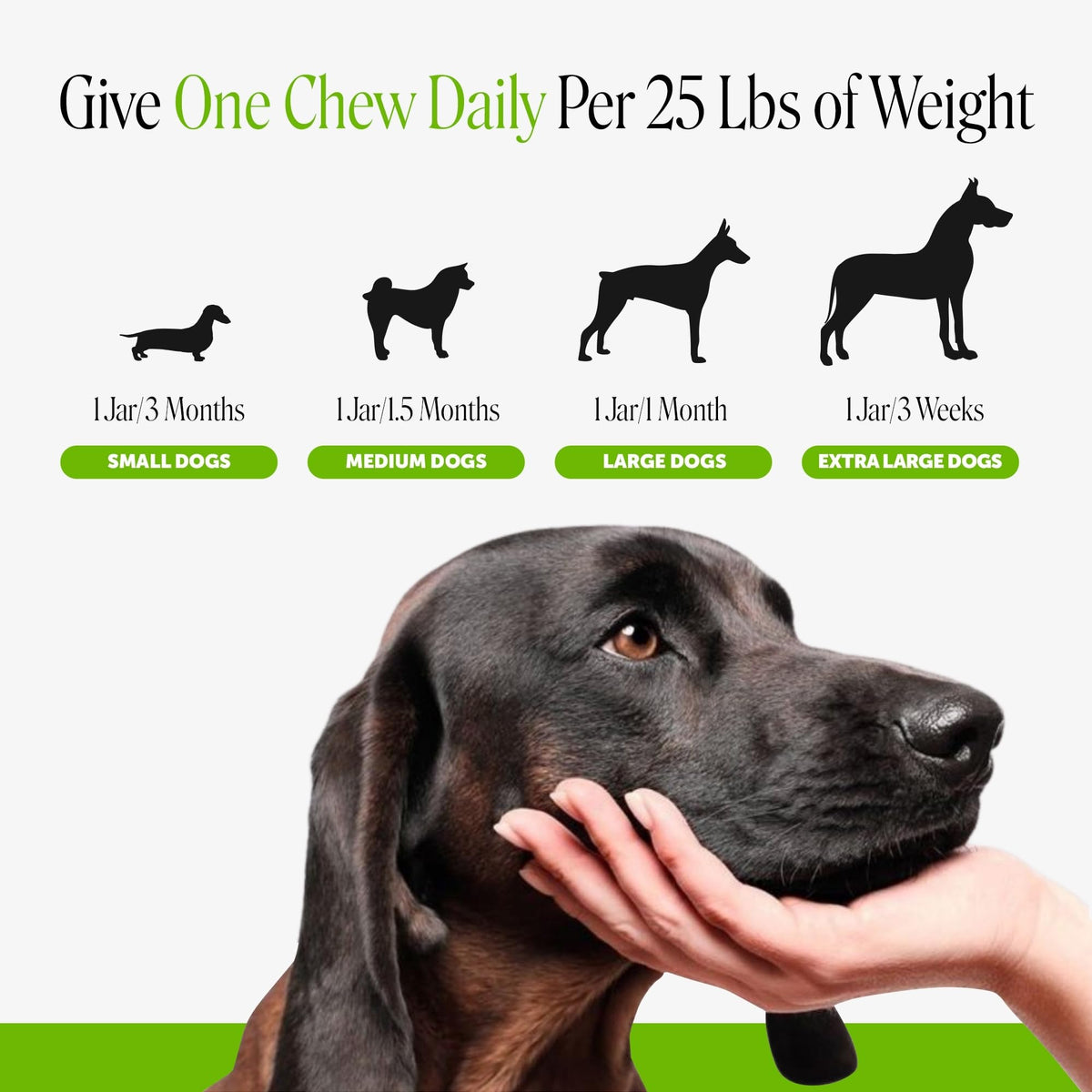 Dog Probiotics Chews 90ct Pumpkin M2134