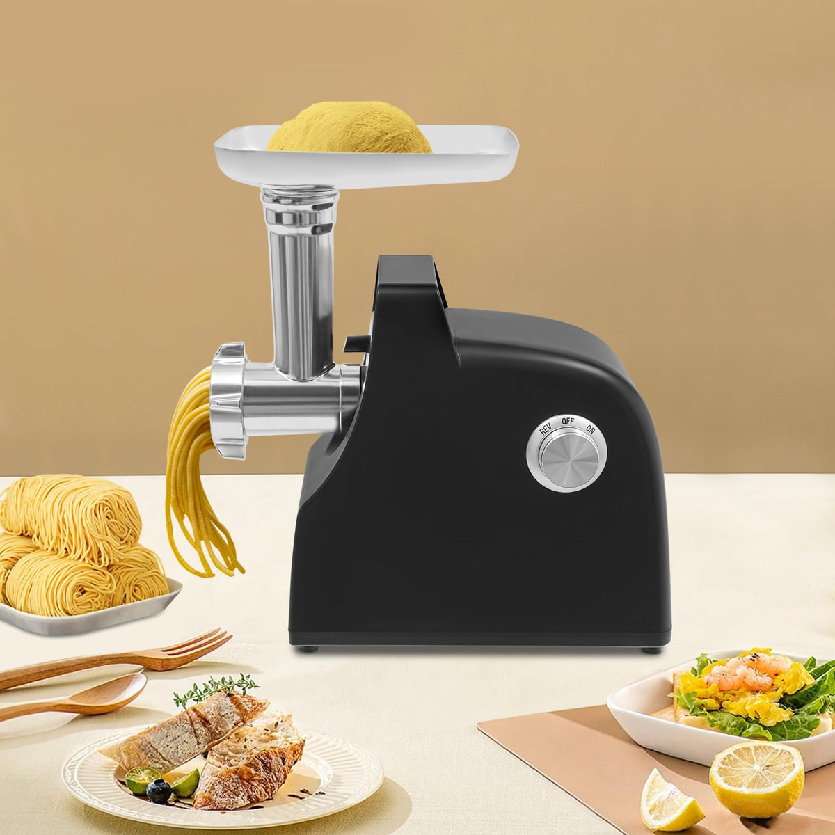 110V 500W Meat Grinder & Tomato Strainer T2961