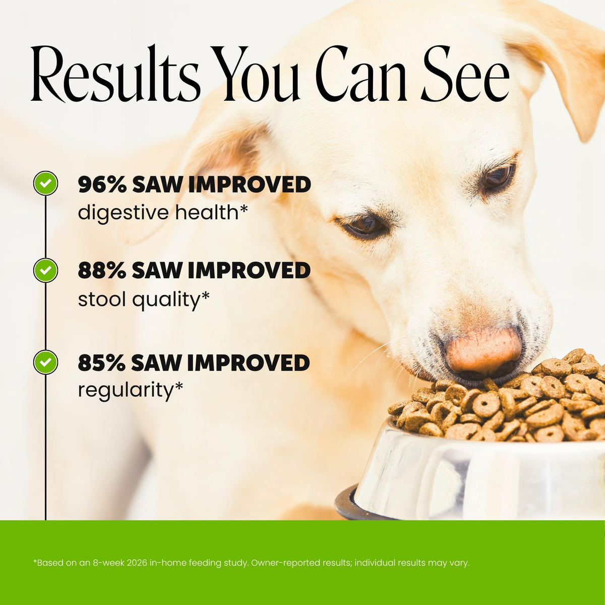 Dog Probiotics Chews 90ct Pumpkin M2134
