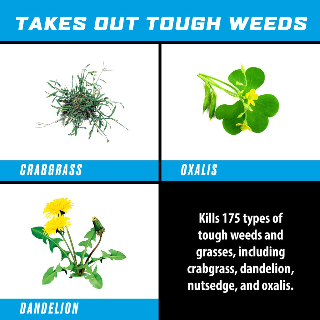 Weed & Grass Killer Refill 1 gal. R6594