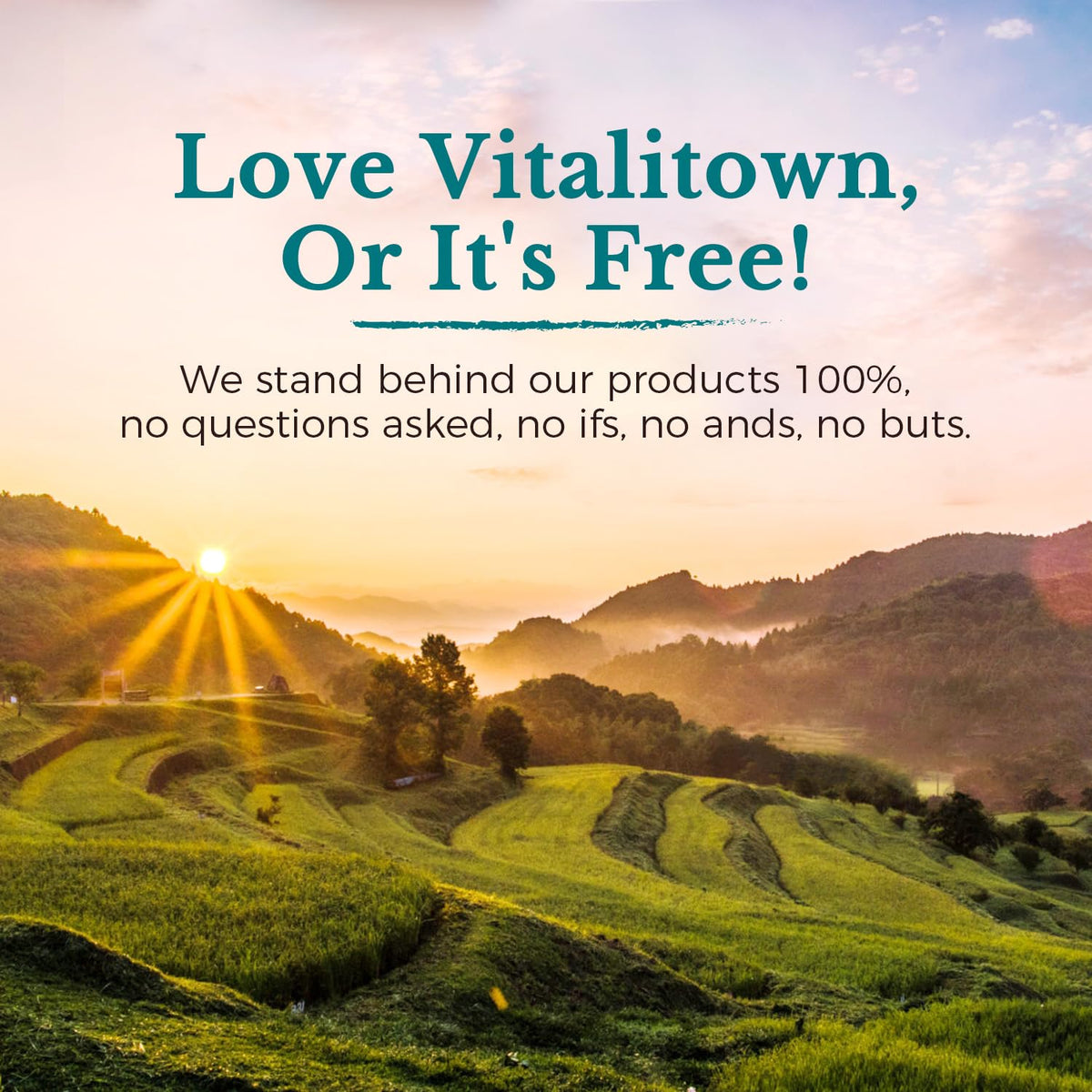 Probiotics 120 Billion CFUs 36 Strains with Prebiotics & Digestive Enzymes 30 Veg Caps D3812