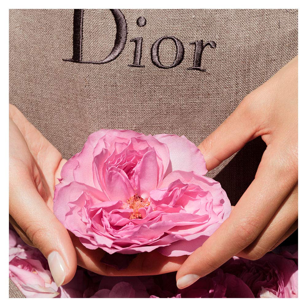 Rose EDT Spray 1.7 oz Y86644
