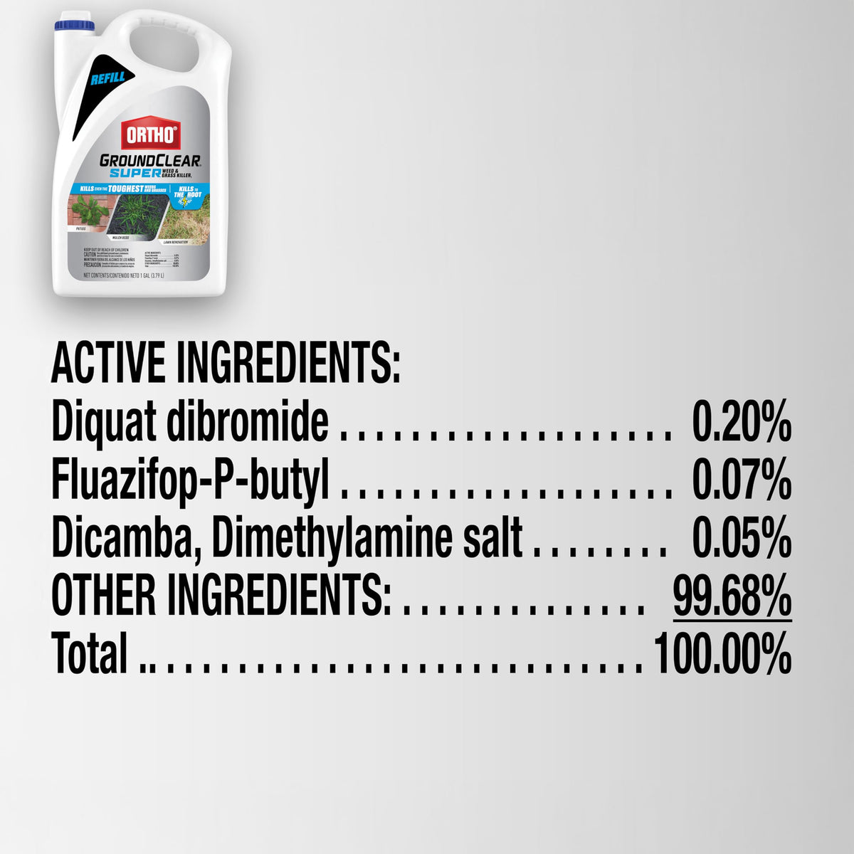 Weed & Grass Killer Refill 1 gal. R6594