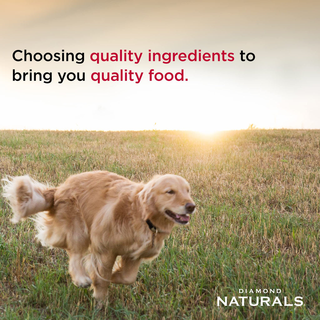 Dry Dog Food, Lamb Meal & Rice, 40lb B6544