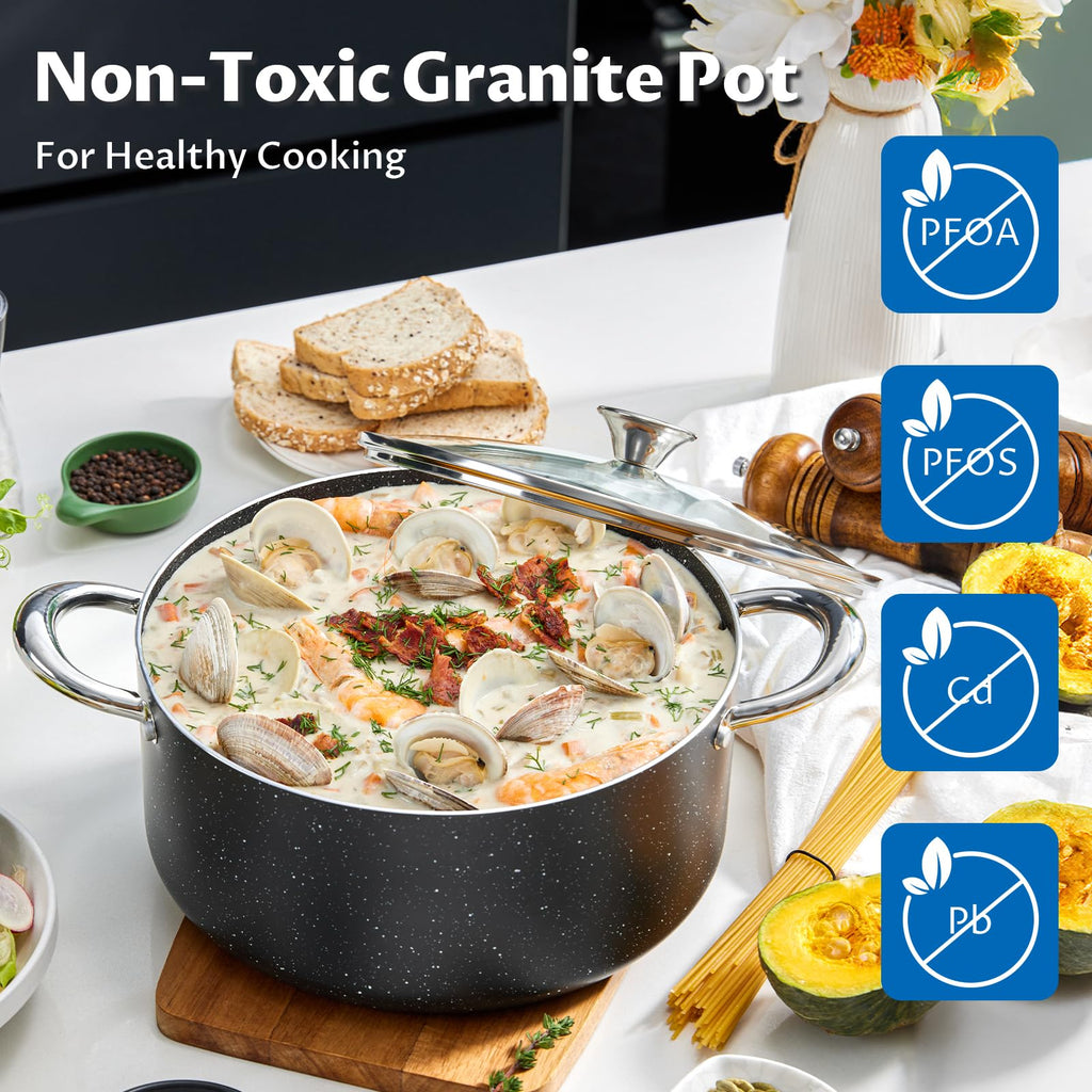6 Quart Nonstick Stock Pot with Lid C6812