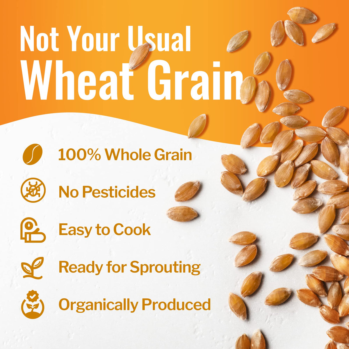 100% Organic Hard White Wheat Berries 43 lbs G339098