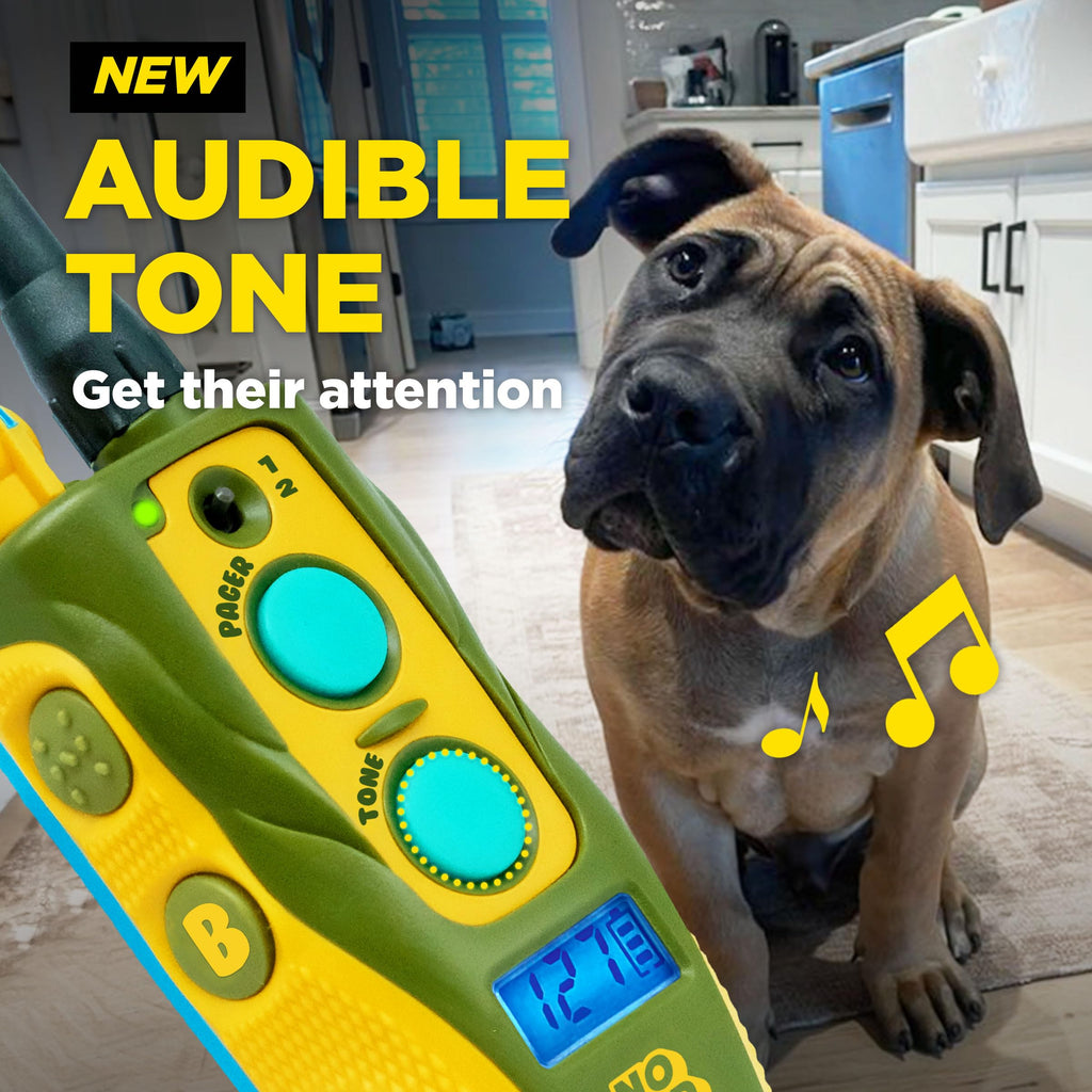 Waterproof Dog Training Collar with Remote L269
