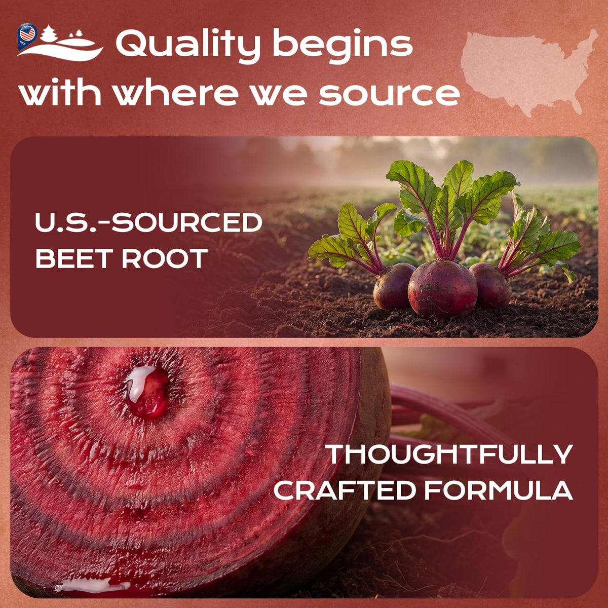 Beet Root Gummies with Grape Seed & CoQ10 N628