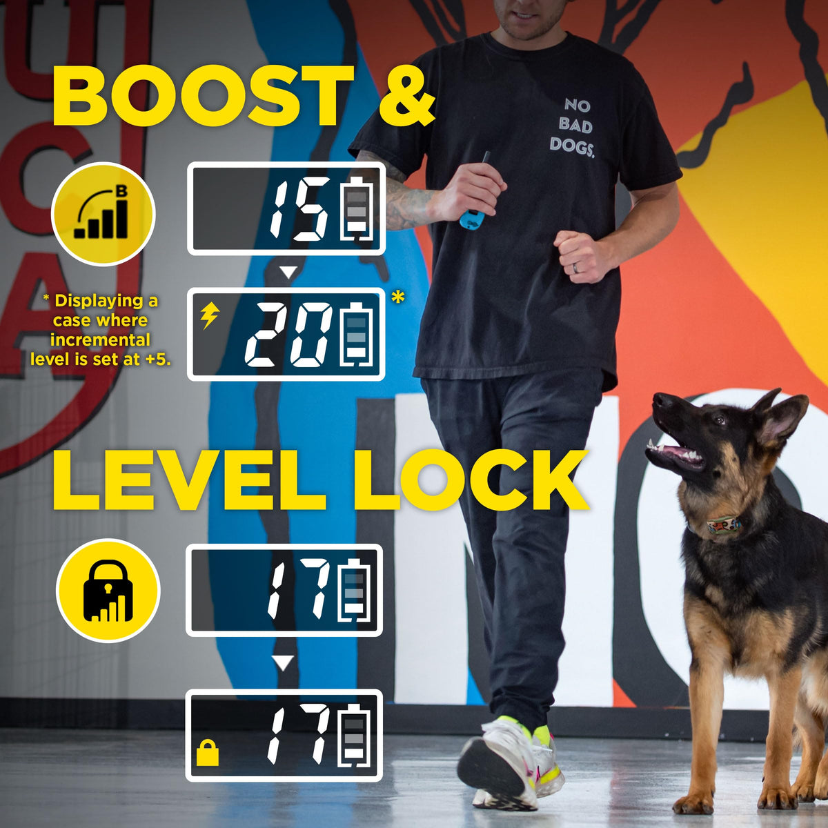 Waterproof Dog Training Collar with Remote L269