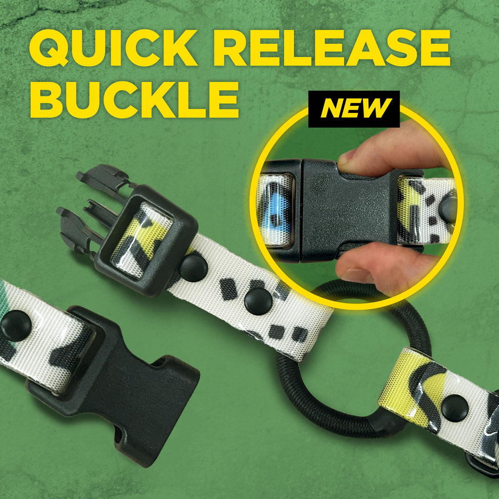 Waterproof Dog Training Collar with Remote L269