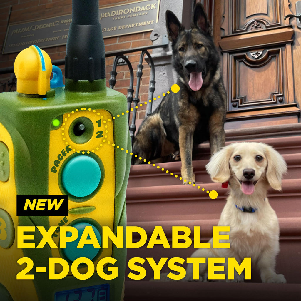 Waterproof Dog Training Collar with Remote L269