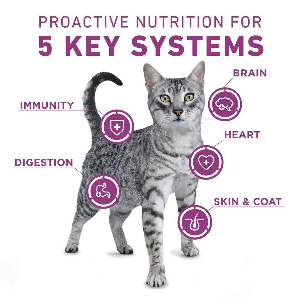 Dry Cat Food 22 lb. Bag E8583