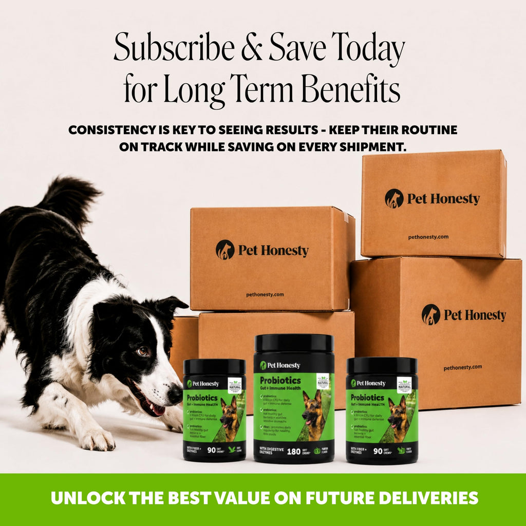 Dog Probiotics Chews 90ct Pumpkin M2134