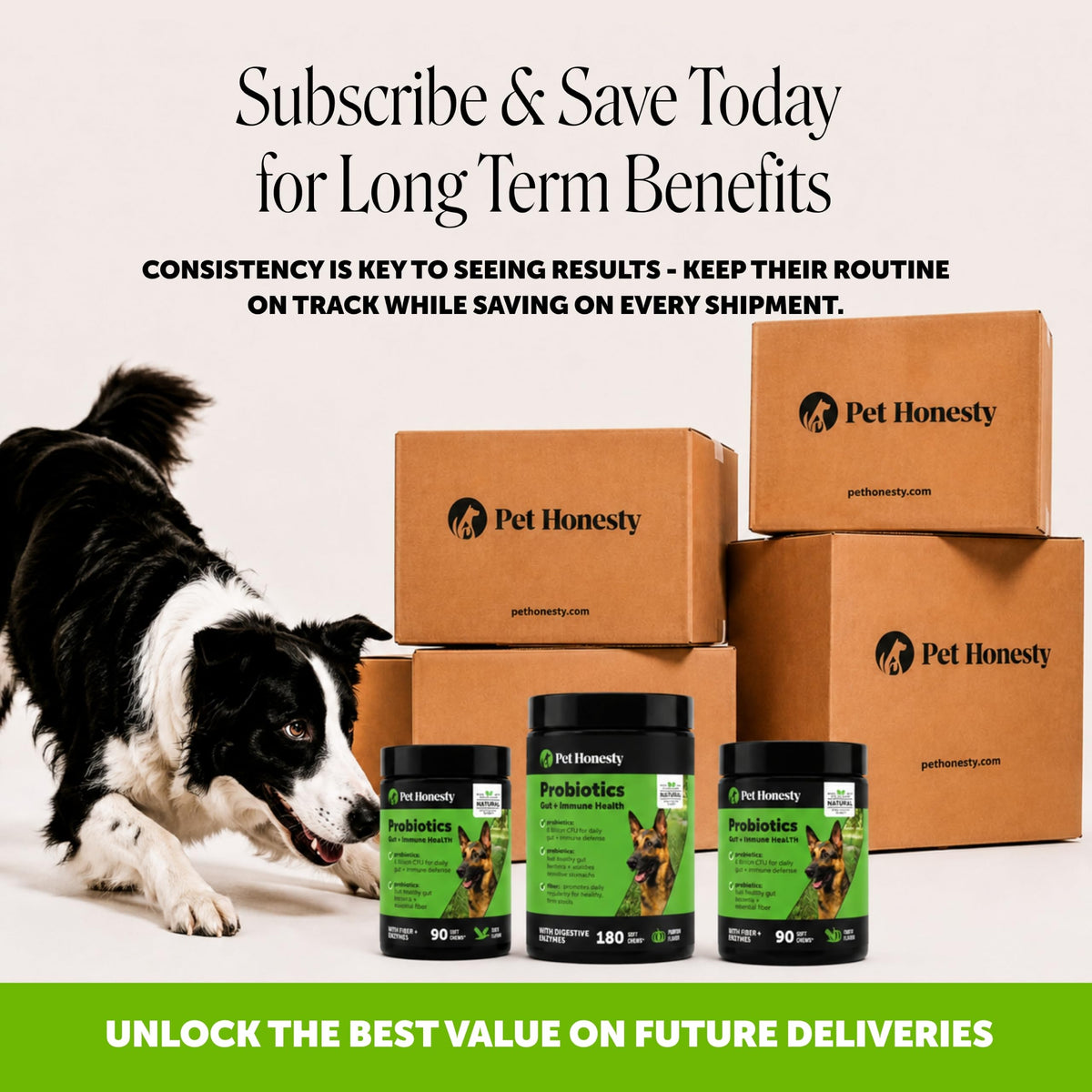Dog Probiotics Chews 90ct Pumpkin M2134