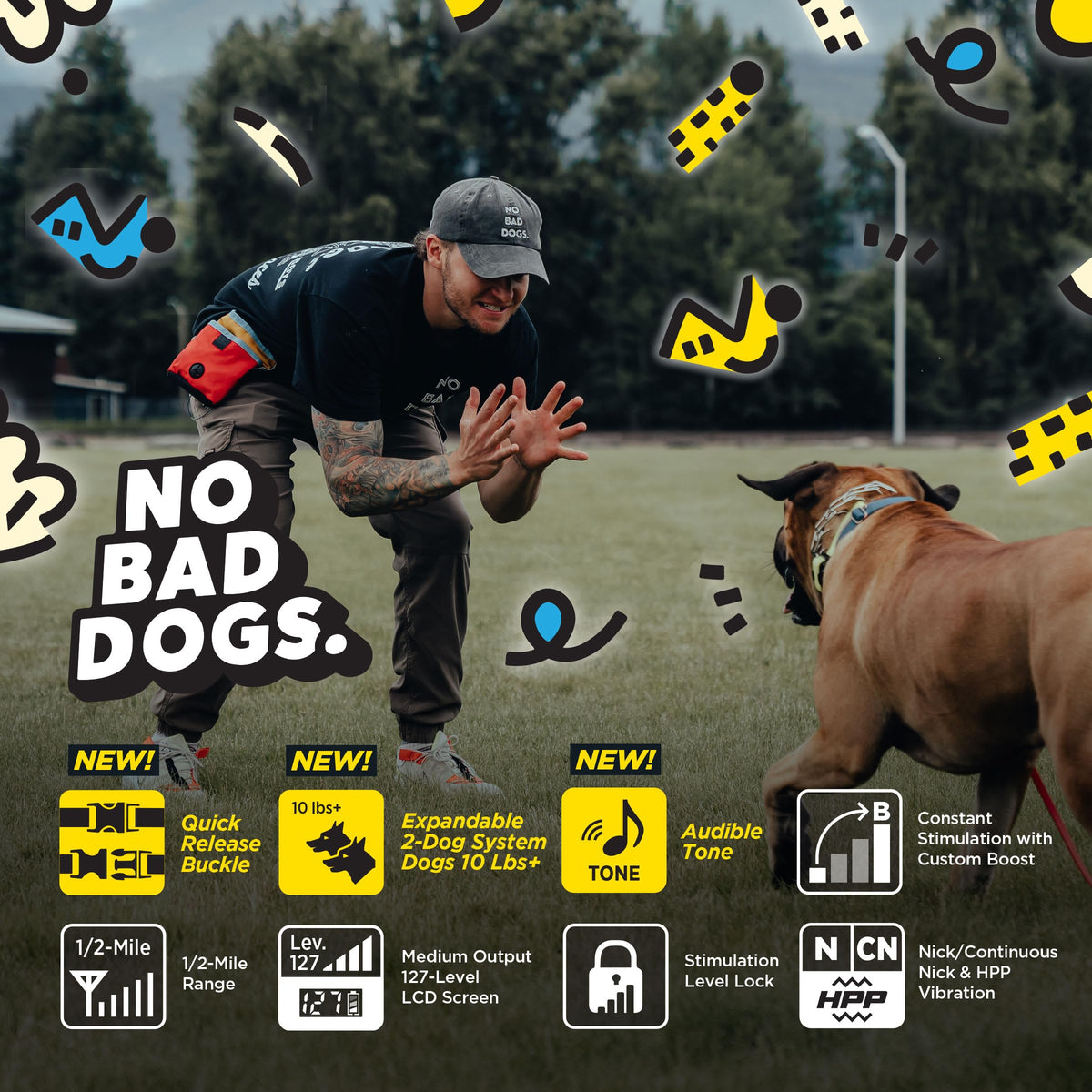 Waterproof Dog Training Collar with Remote L269