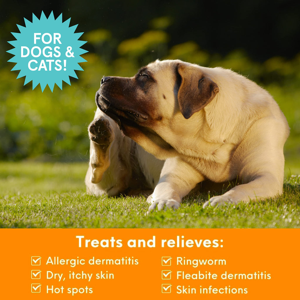 Medicated Chlorhexidine Dog Shampoo 16oz O373915