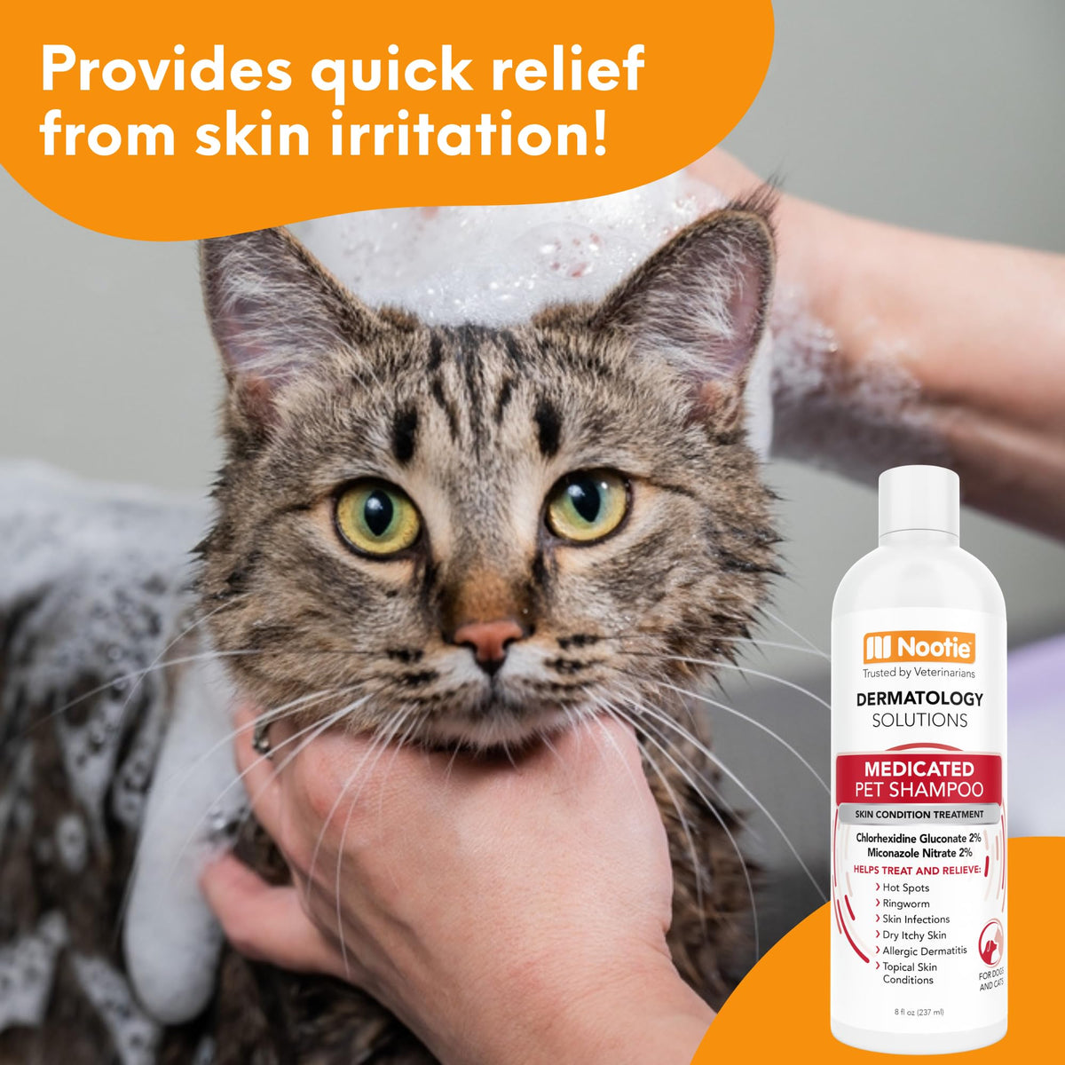 Medicated Chlorhexidine Dog Shampoo 16oz O373915