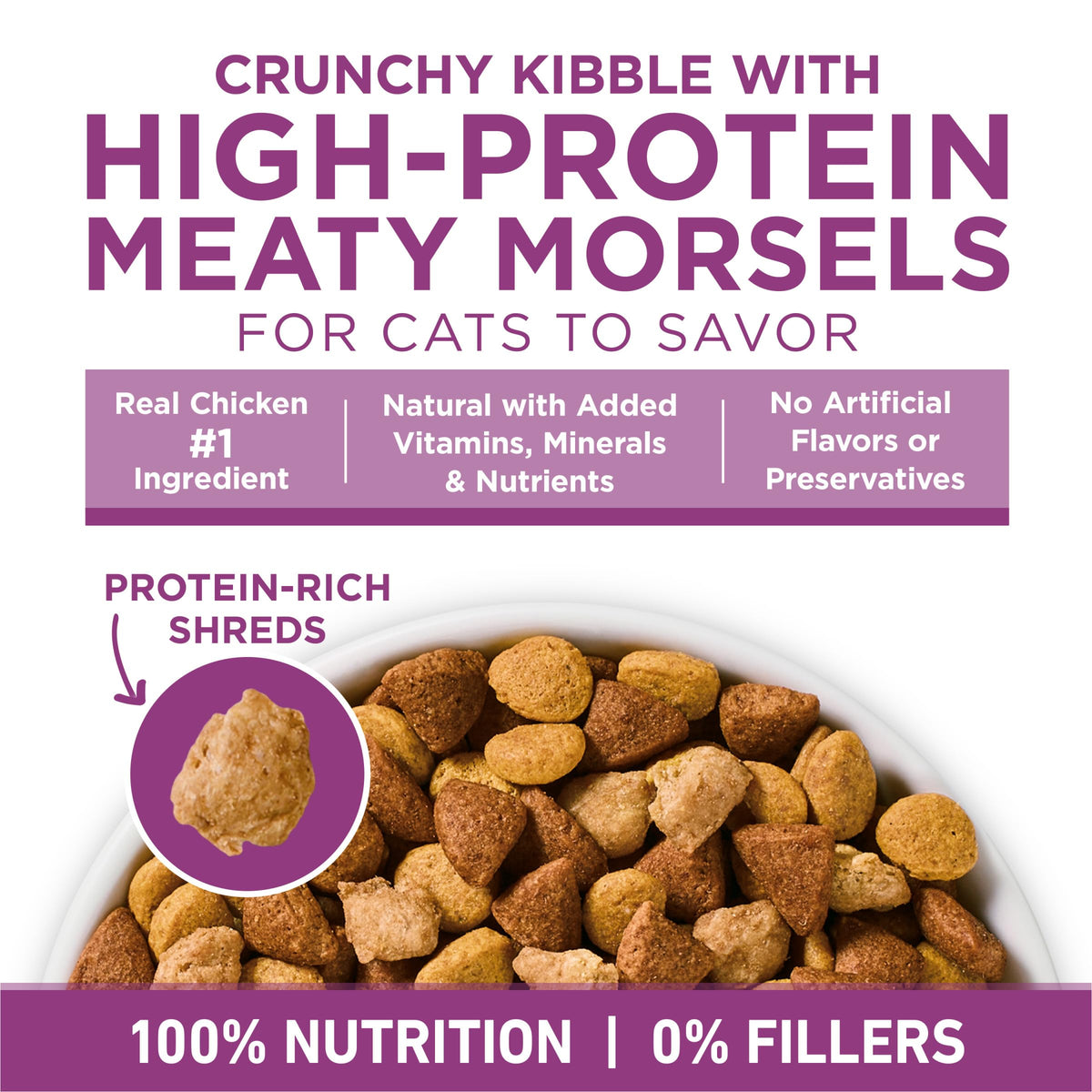 Dry Cat Food 22 lb. Bag E8583
