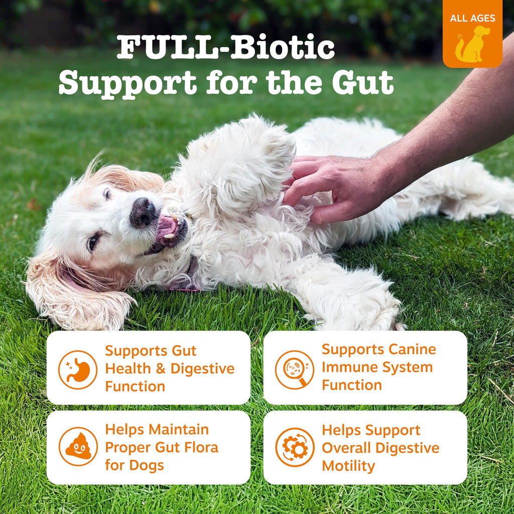 Probiotics for Dogs Chicken 90ct K642109