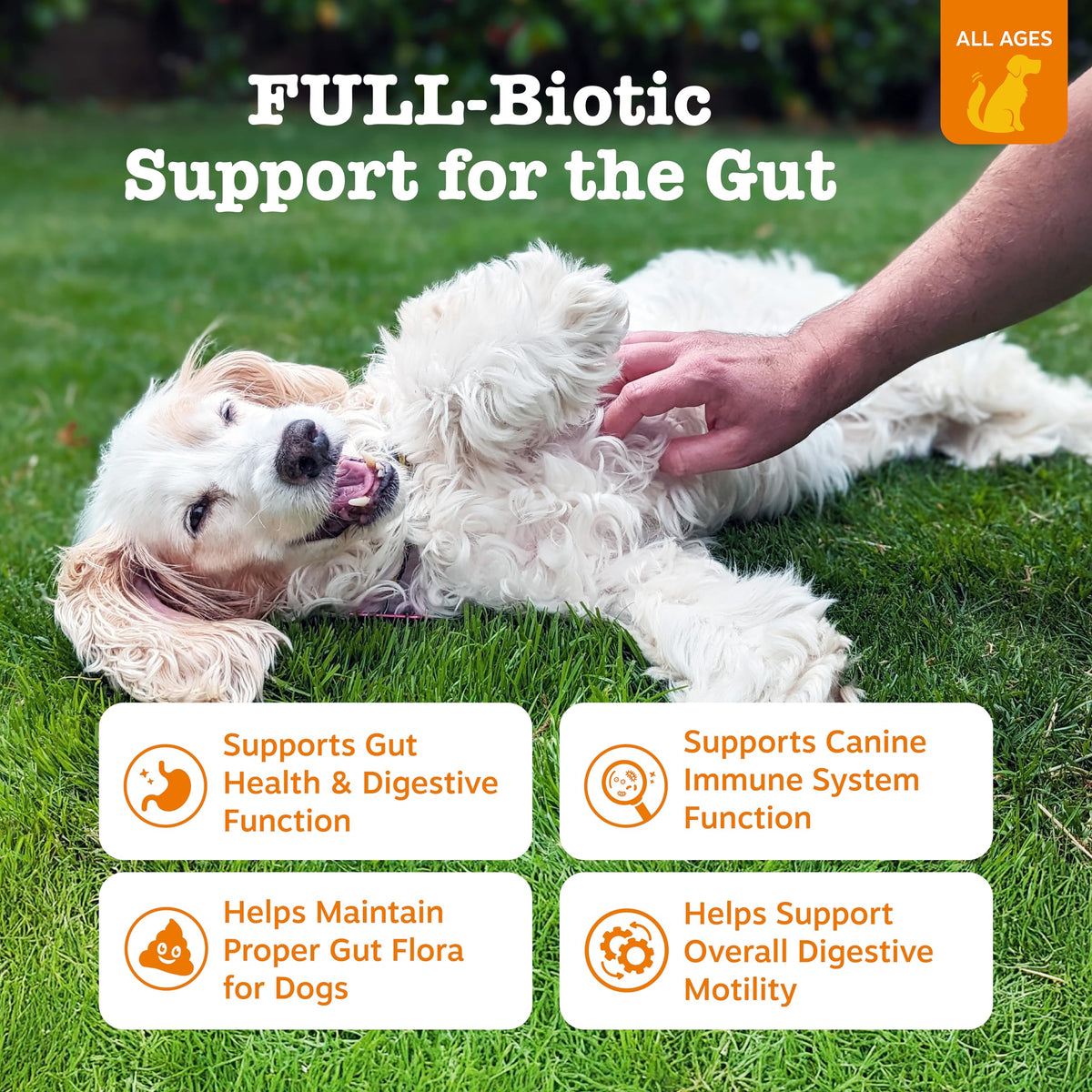 Probiotics for Dogs Chicken 90ct K642109
