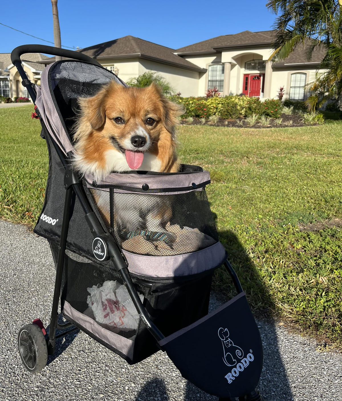 3 Wheel Pet Stroller Q28459