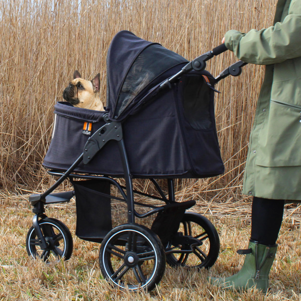 Dog & Pet Buggy, Holds up to 32 kg, Easy Fold D872640